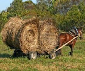Puzzle Αγρότης με ένα άλογο με άμαξα